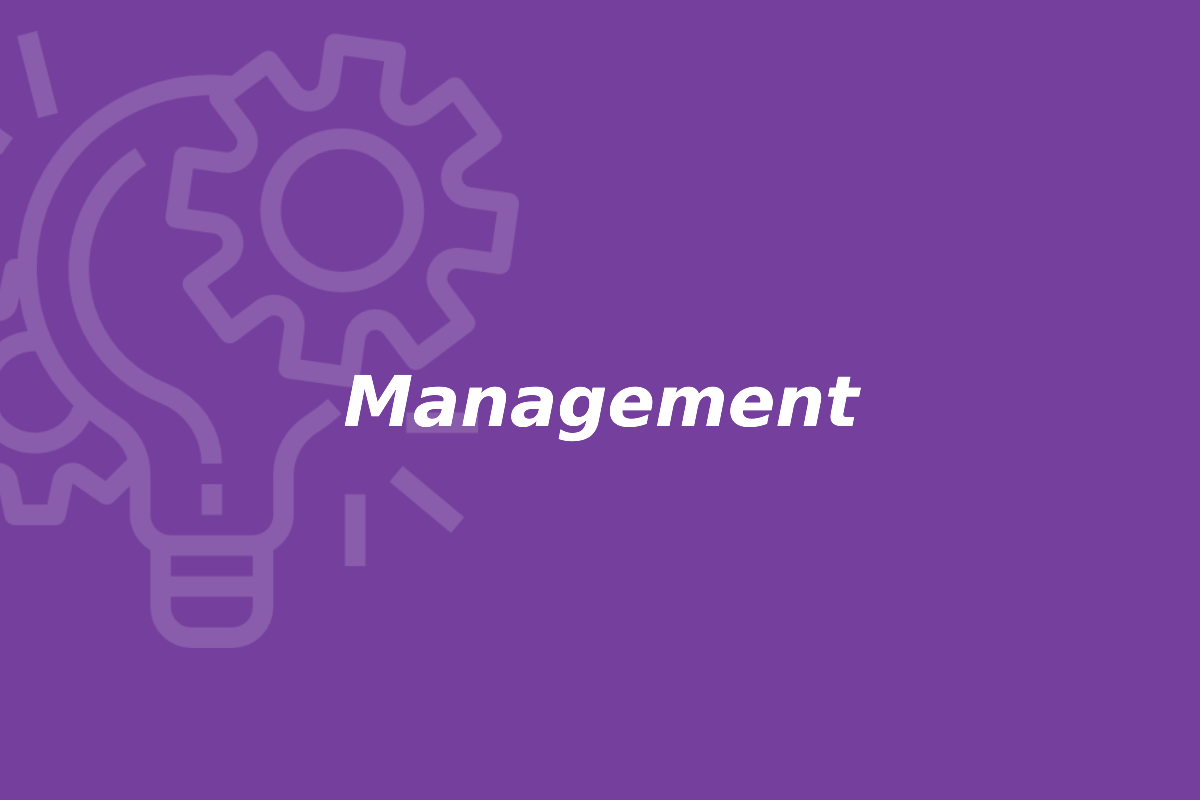 WP6: Management